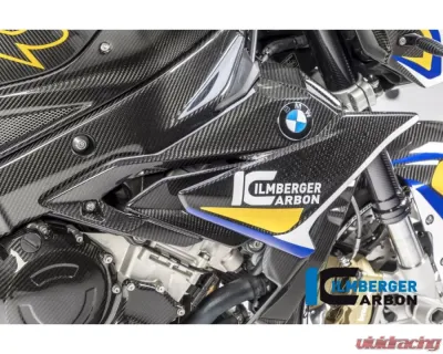 Ilmberger Fairing Side Panel Right - BMW S1000 R 2017+ - VER.001.S117N.K