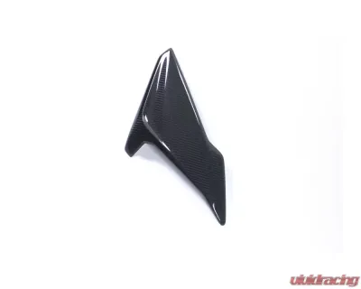 Ilmberger Fairing Side Panel Right - BMW S1000 R 2017+ - VER.001.S117N.K