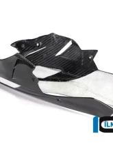 Ilmberger Bellypan - BMW S1000 R 2017+                                     - VEU.005.S117N.K - Image 6