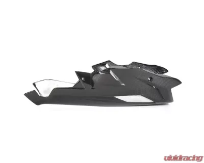 Ilmberger Bellypan - BMW S1000 R 2017+ - VEU.005.S117N.K