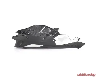 Ilmberger Bellypan - BMW S1000 R 2017+ - VEU.005.S117N.K