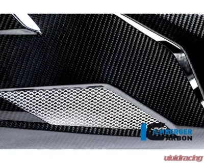 Ilmberger Bellypan Carbon - BMW S1000 R 2014-2016 - VEU.215.S100N.K