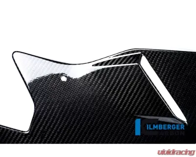 Ilmberger Bellypan Carbon - BMW S1000 R 2014-2016 - VEU.215.S100N.K