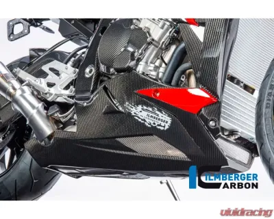 Ilmberger Bellypan Carbon - BMW S1000 R 2014-2016 - VEU.215.S100N.K