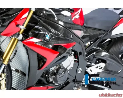 Ilmberger Frame Cover Left Carbon - BMW S1000 R 2014-2016 - RAL.217.S100N.K