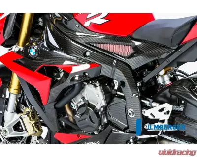 Ilmberger Frame Cover Left Carbon - BMW S1000 R 2014-2016 - RAL.217.S100N.K
