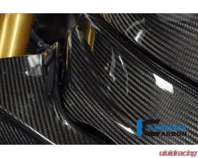 Ilmberger Frame Cover Left Carbon - BMW S1000 RR Street | HP4 2012+ - RAL.041.S100S.K