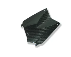 Ilmberger Battery Cover Carbon - BMW K1200 R/R Sport | K1300 R