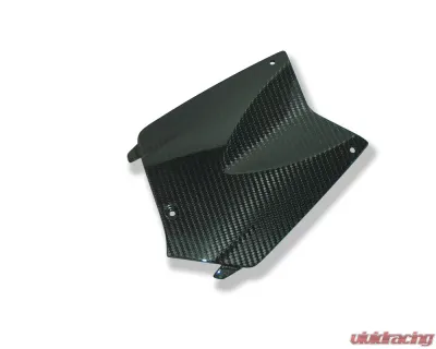 Ilmberger Battery Cover Carbon - BMW K1200 R/R Sport | K1300 R - BAH.004.K120R.K