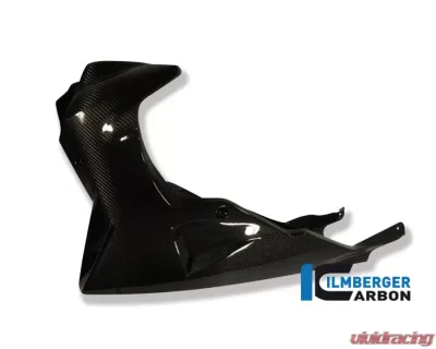 Ilmberger Bellypan Carbon - BMW K1200 R/R Sport | K1300 R - VEU.013.K120R.K