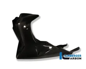 Ilmberger Bellypan Carbon - BMW K1200 R/R Sport | K1300 R