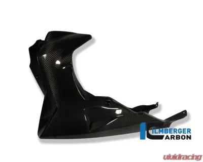 Ilmberger Bellypan Carbon - BMW K1200 R/R Sport | K1300 R - VEU.013.K120R.K