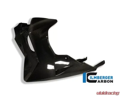 Ilmberger Bellypan Carbon - BMW K1200 R/R Sport | K1300 R - VEU.013.K120R.K
