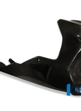 Ilmberger Bellypan Carbon - BMW K1200 R/R Sport | K1300 R                                     - VEU.013.K120R.K - Image 3