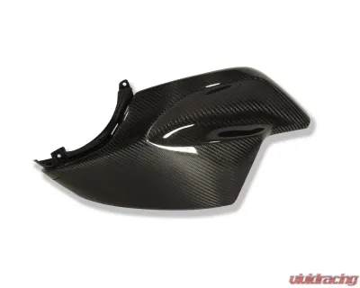 Ilmberger Frame Cover Left Carbon - BMW K1200 R 2005-2008 - VEL.003.K120R.K