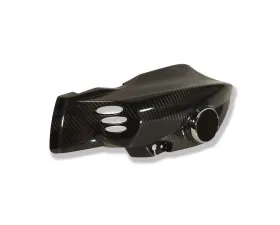 Ilmberger Airtube Left Carbon - BMW K1200 R 2005-2008