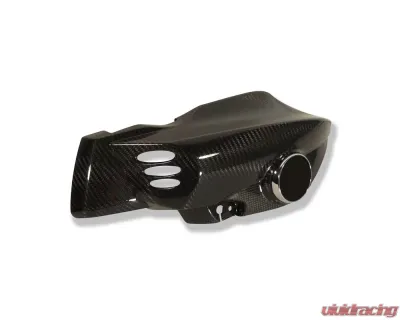 Ilmberger Airtube Left Carbon - BMW K1200 R 2005-2008 - WKL.011.K120R.K