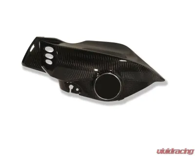 Ilmberger Airtube Left Carbon - BMW K1200 R 2005-2008 - WKL.011.K120R.K