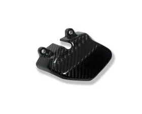 Ilmberger Clutch Cover Carbon - BMW K1200 R/S/R Sport | K1300 S/R