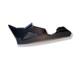 Ilmberger Bellypan Carbon - BMW K1200 S | K1300 S