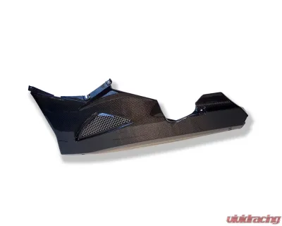 Ilmberger Bellypan Carbon - BMW K1200 S | K1300 S - VEU.003.K120S.K