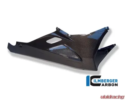 Ilmberger Bellypan Carbon - BMW K1200 S | K1300 S - VEU.003.K120S.K