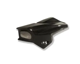 Ilmberger Airtube Left Carbon - BMW K1300 R 2008+