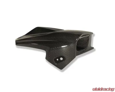 Ilmberger Airtube Right Carbon - BMW K1300 R 2008+ - WKR.004.K130R.K