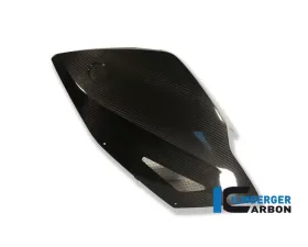 Ilmberger Fairing Side Panel Left Carbon - BMW K1300 S