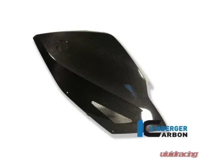 Ilmberger Fairing Side Panel Left Carbon - BMW K1300 S - VEL.004.K130S.K