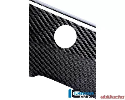 Ilmberger Frame Cover Left Carbon - BMW S1000 R 2014-2016 - RAL.217.S100N.K