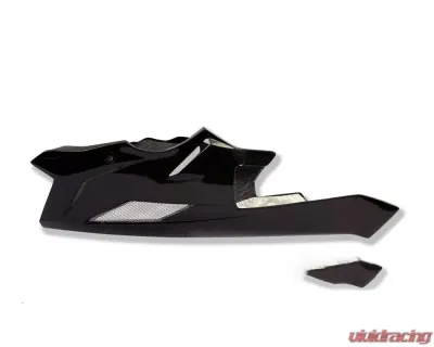 Ilmberger Bellypan Carbon - BMW S1000 R 2014-2016 - VEU.215.S100N.K