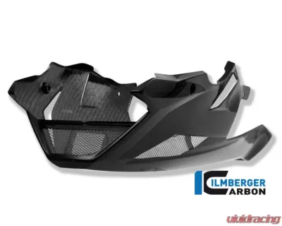 Ilmberger Bellypan Carbon - BMW S1000 R 2014-2016 - VEU.215.S100N.K