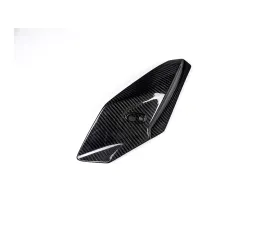 Ilmberger Front Fairing Side Panel Left Side Carbon - BMW S1000 R 2014+