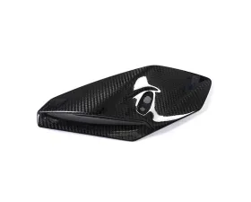 Ilmberger Front Fairing Side Panel Right Side Carbon - BMW S1000 R 2014+