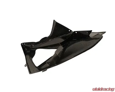 Ilmberger Fairing Race Side Panel Left Carbon - BMW S1000 RR Racing w/o ABE 2012 - VEL.081.S1RAB.K