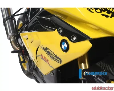 Ilmberger Fairing Race Side Panel Right Carbon - BMW S1000 RR Racing w/o ABE 2012 - VER.082.S1RAB.K