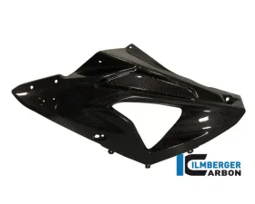 Ilmberger Fairing Side Panel Left Carbon - BMW S1000 RR Street | HP4 2012+
