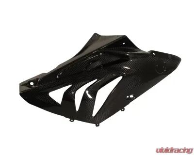 Ilmberger Fairing Side Panel Right Carbon - BMW S1000 RR Street | HP4 2012+ - VER.102.S100S.K