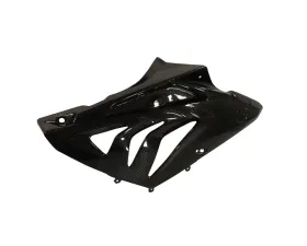 Ilmberger Fairing Side Panel Right Carbon - BMW S1000 RR Street | HP4 2012+