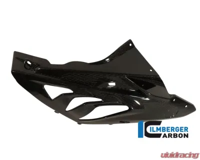 Ilmberger Fairing Side Panel Right Carbon - BMW S1000 RR Street | HP4 2012+ - VER.102.S100S.K