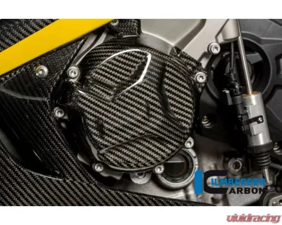 Ilmberger Alternator Cover Carbon - BMW S1000 RR Racing w/o ABE 2010+ - LMD.075.S1RAR.K