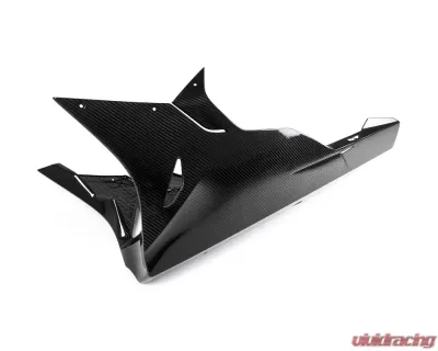 Ilmberger Bellypan - BMW S1000 RR Racing w/o ABE 2015 - VEU.356.S1R15.K