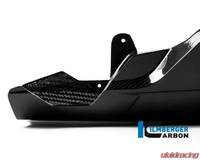 Ilmberger Bellypan - BMW S1000 RR Racing w/o ABE 2015 - VEU.356.S1R15.K