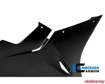 Ilmberger Bellypan - BMW S1000 RR Racing w/o ABE 2015 - VEU.356.S1R15.K