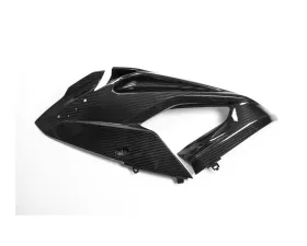 Ilmberger Fairing Side Panel Left - BMW S1000 RR Street 2015