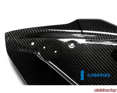 Ilmberger Fairing Side Panel Left Side Carbon - BMW S1000 RR Racing w/o ABE 2015 - VEL.354.S1R15.K