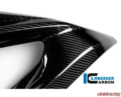 Ilmberger Fairing Side Panel Left Side Carbon - BMW S1000 RR Racing w/o ABE 2015 - VEL.354.S1R15.K