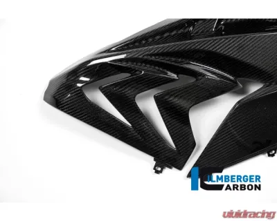 Ilmberger Fairing Side Panel Right - BMW S1000 RR Street 2015 - VER.302.S115S.K
