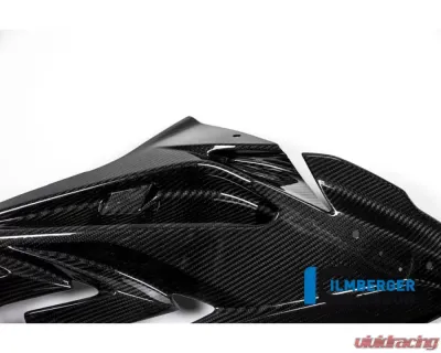 Ilmberger Fairing Side Panel Right - BMW S1000 RR Street 2015 - VER.302.S115S.K